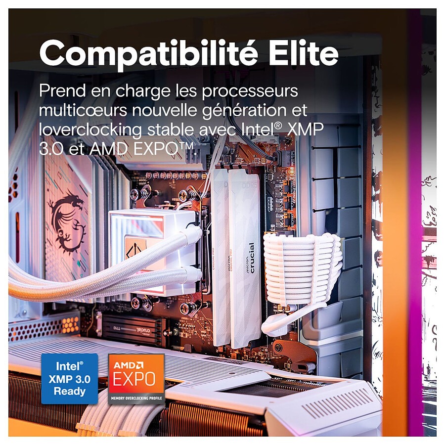 imgi_113_MN0006291143jpg - MARKET-TECH®